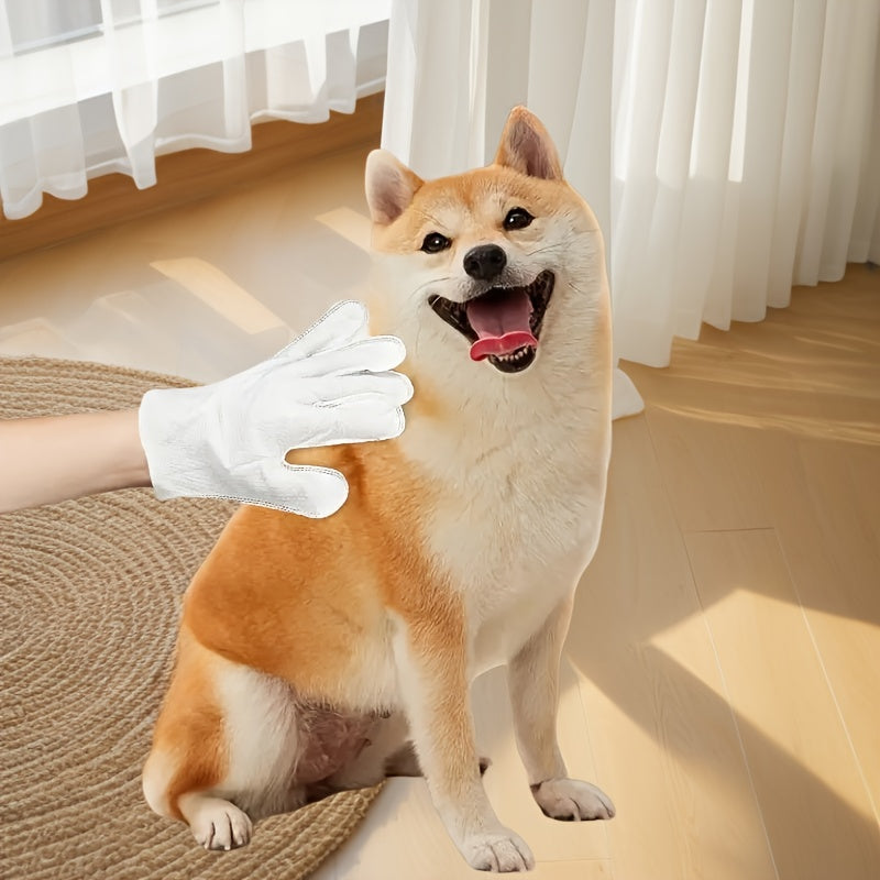 Disposable Pet Glove Wet Wipes