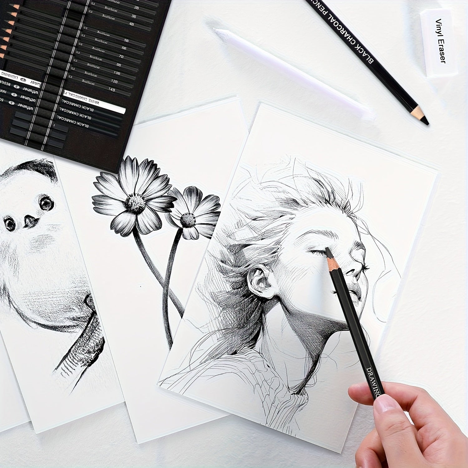 Professional Artist Sketching & Drawing Pencil Set