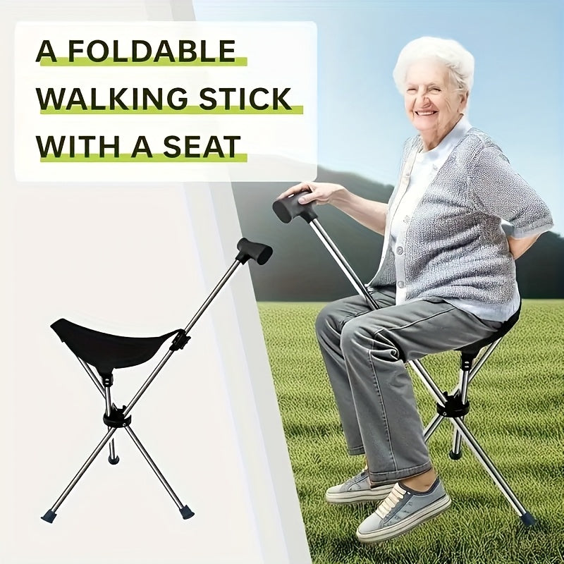 2-in-1 Collapsible Cane & chair
